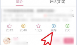 哔哩哔哩怎么缓存视频,轻松保存心仪内容